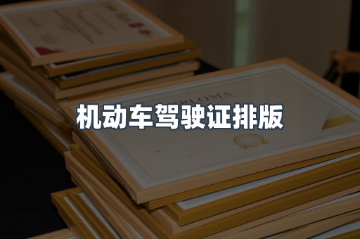 机动车驾驶证排版